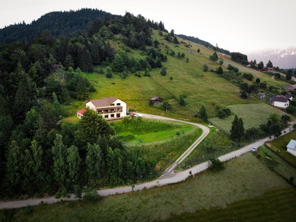 Pensiunea * Măgura
